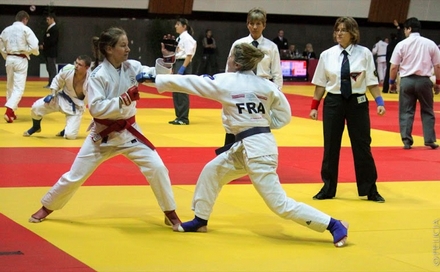 jiu jitsu fighting system